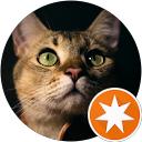 Stephen John profile picture